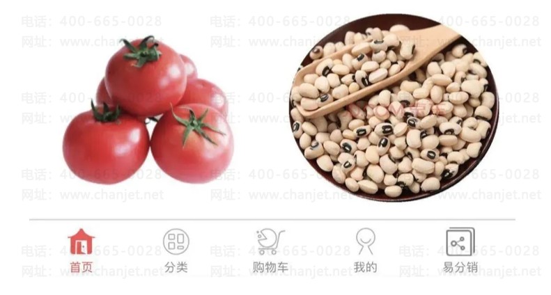 2021-03-16 1.53.11.png